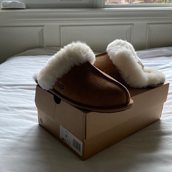 UGG Shoes - UGG Scuffette II Slippers